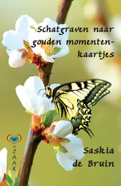 Omslag van Schatgraven naar gouden momenten-kaartjes