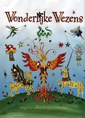 Omslag van Wonderlijke wezens
