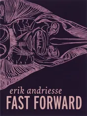 Omslag van Fast Forward