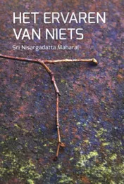 Omslag van Het ervaren van niets