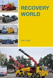 Omslag van Recovery world