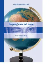 Omslag van knipoog naar het leven