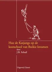 Omslag van Hoe de Katjangs op de kostschool van Buikie kwamen