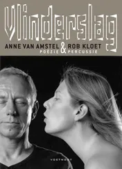 Omslag van Vlinderslag