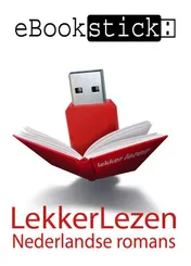 Omslag van LekkerLezenstick