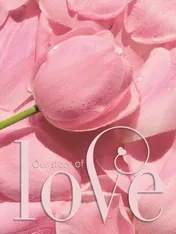 Omslag van Gastenboek bruiloft LOVE luxe hardcover voor 250 gasten