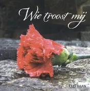 Omslag van Wie troost mij