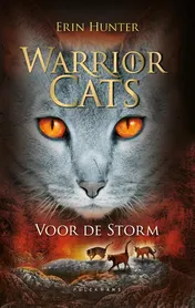 Omslag van Voor de storm