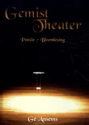 Omslag van Gemist theater