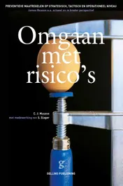 Omslag van Omgaan met risico's