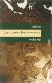 Omslag van Geruis van voetstappen