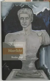 Omslag van Weerlicht