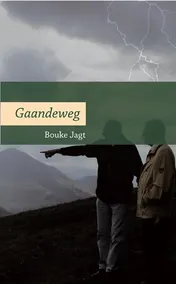 Omslag van Gaandeweg
