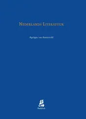 Omslag van Nederlands Literatuur