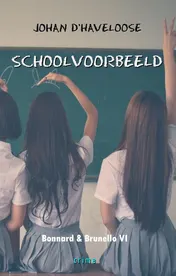 Omslag van Schoolvoorbeeld