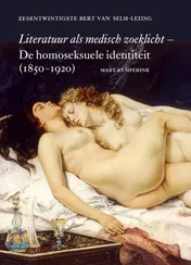 Omslag van Literatuur als medisch zoeklicht