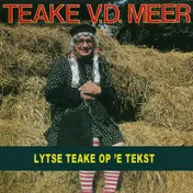 Omslag van Lytse Teake op 'e tekst