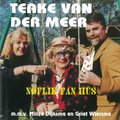 Omslag van Noflik fan hûs
