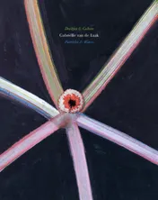 Omslag van Deeltjes & Golven = Particles & Waves