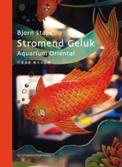 Omslag van Stromend geluk