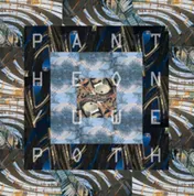 Omslag van Pantheon