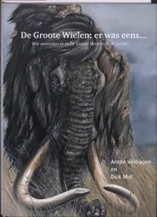 Omslag van De Groote Wielen: Er was eens...
