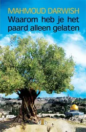 Omslag van Waarom heb je het paard alleen gelaten