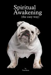 Omslag van Spiritual Awakening