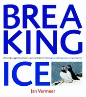 Omslag van Breaking Ice