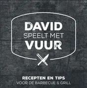 Omslag van David speelt met vuur