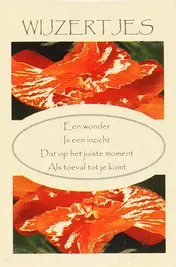 Omslag van Wijzertjes