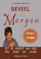 Omslag van Beveel uw Morgen