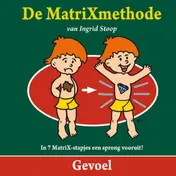 Omslag van Gevoel