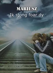 Omslag van Ik sjong foar dy