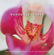 Omslag van Bundeltje Troost