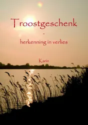 Omslag van Troostgeschenk