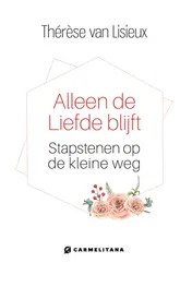 Omslag van Alleen de liefde blijft