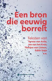 Omslag van Een bron die eeuwig borrelt