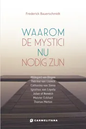 Omslag van Waarom de mystici nu nodig zijn