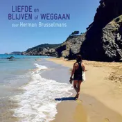 Omslag van Liefde en blijven of weggaan