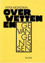 Omslag van Peter Kropotkin over wetten en gevangenissen