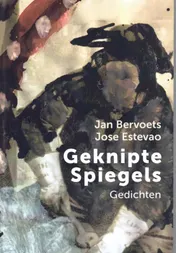 Omslag van Geknipte Spiegels