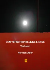 Omslag van Een verschrikkelijke liefde