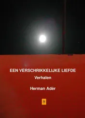 Omslag van Een verschrikkelijke Liefde