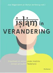 Omslag van Islam in verandering
