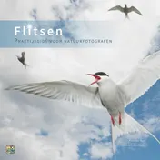Omslag van Flitsen