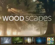 Omslag van Woodscapes