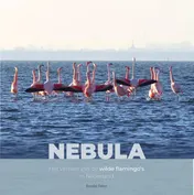 Omslag van Nebula