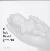 Omslag van Ik heb David gevoeld