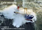 Omslag van Gale warning